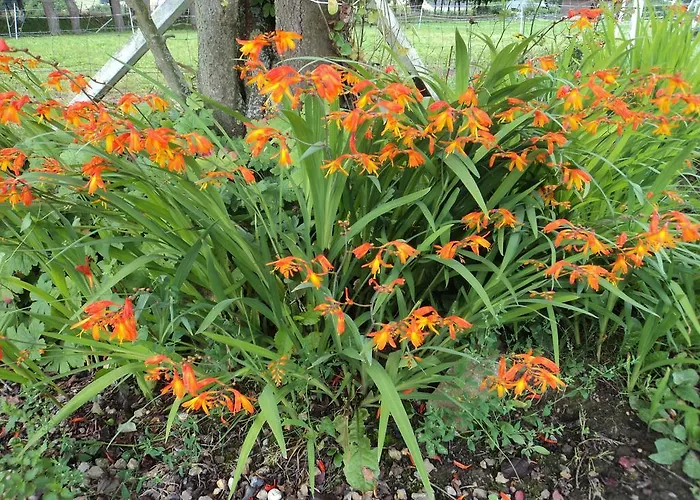 Bed and breakfast La Demeure Vassonville