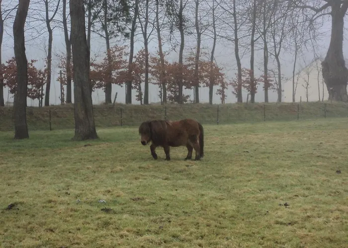 La Demeure Bed and breakfast