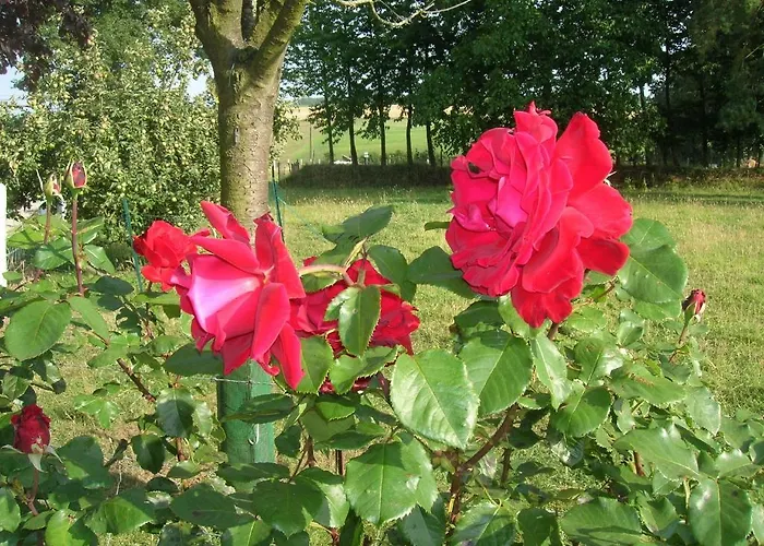 Bed and breakfast La Demeure