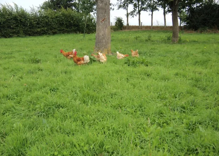 La Demeure 3* Vassonville